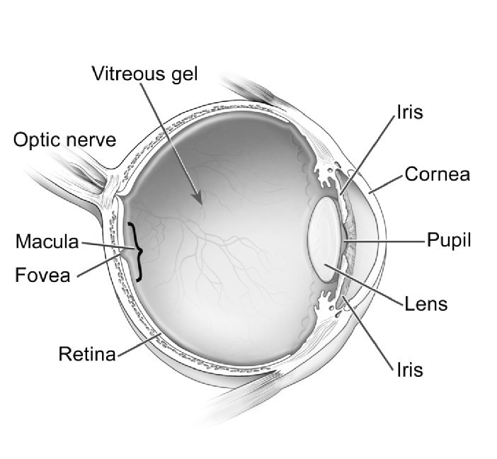 Eye Diagram