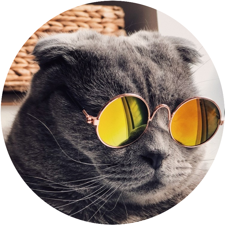 Cat with Mirror Glasses